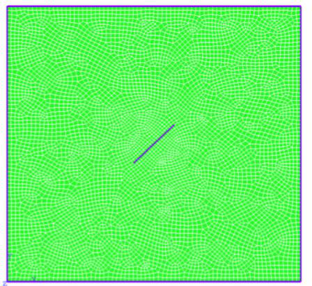 FEM mesh with double nodes along crack