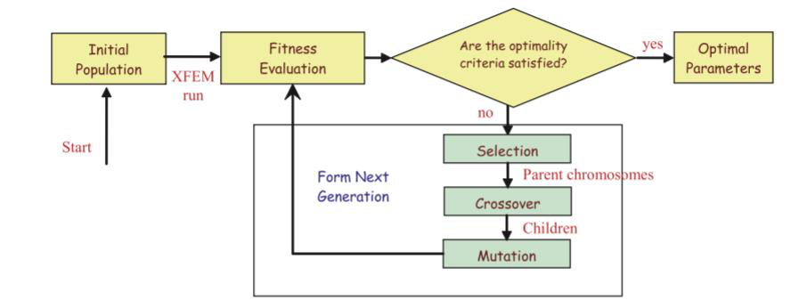 XFEM-GA algorithm flow chart